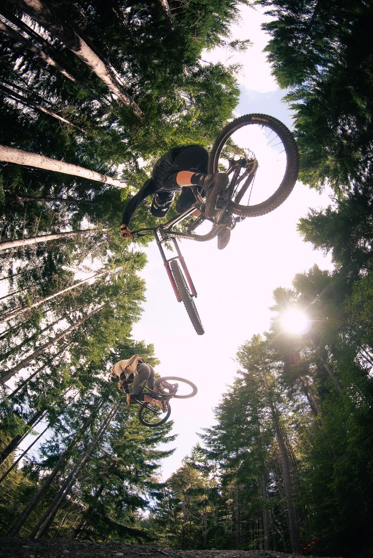 Two mountain bikers jumping overhead, shot from below through tall trees